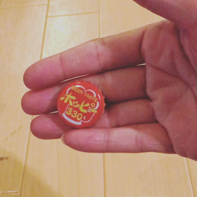 今日のネコの画像