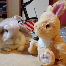 おしゃべりタイムの画像