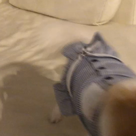 季節外れの大掃除‼️の画像