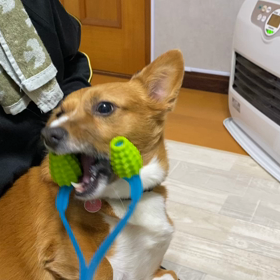 アタシだって！の画像