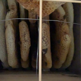 2023/12/26見回りの画像