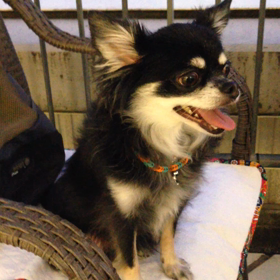 早く〜・・・（≧∇≦）の画像