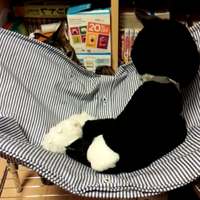 よし子 友達にヤキモチ( ˃̣̣̥ω˂̣̣̥ )の画像