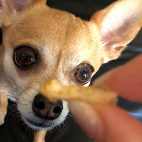 咀嚼音萌え(≧∀≦)の画像