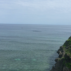 ナブラと鳥山！の画像