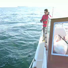 ブリ便 追加動画の画像