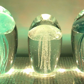 新しいワークショップ✨の画像