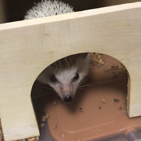 380日目気を許した？の画像