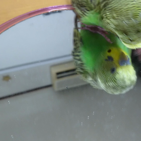 ぴーちゃん✨ダンス❔の画像