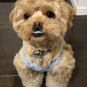 淋しいホワイトデーの画像