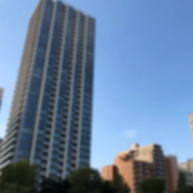 Shima散歩TOKYO湯島駅から上野恩賜公園とアメ横散歩ver.2の画像