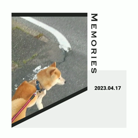 「太郎、今年7月、転移なし根治の診断」のお話の画像