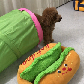 ♪プレイルーム動画♪②の画像