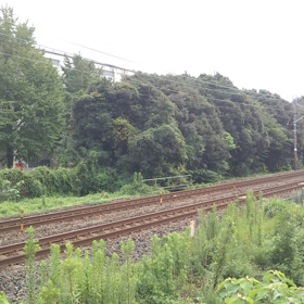 貨物列車撮影の画像