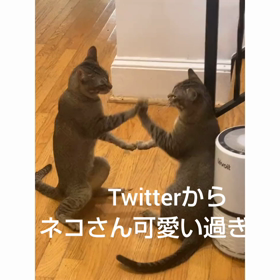 今日は世界パスタデー、 給料日銀行混むのかな？の画像