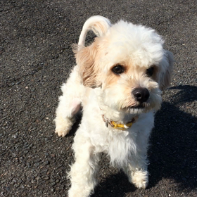 集中すると足踏みの画像