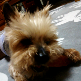 小さな幸せみっけ♪の画像