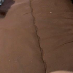 ジジ〜散歩！雨がどうしたの画像