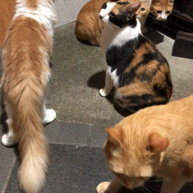 微妙な距離感。の画像