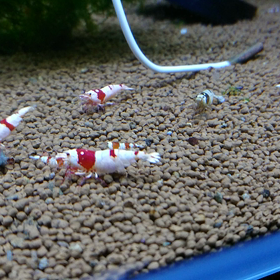 独り占め‼️の画像