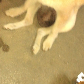 ASMR その2の画像