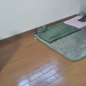 ちょっと画素悪だけどの画像