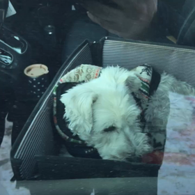 もしかして。。の画像