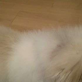 離乳食…？の画像