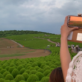 ママ友との海浜公園（夏休み）の画像