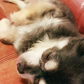 Good Morning☀️の画像