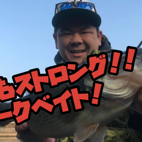 ジャークベイトアクション動画の画像