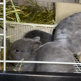 月曜日スタート！そ  して今週の連休の営業案内の画像