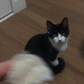 コミュニケーションの画像