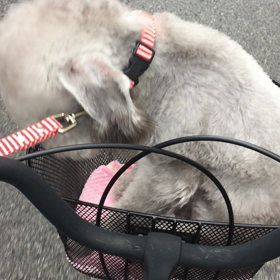 ▶︎ちょっとの特等席の画像