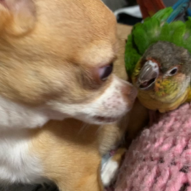 今年のゴールデンウィークの画像