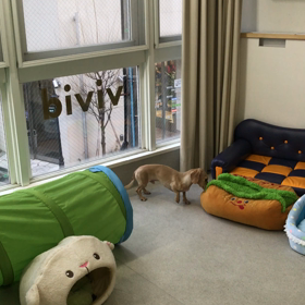 ♪プレイルーム動画♪の画像