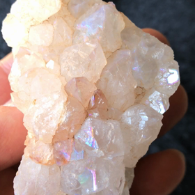 ＲＡＩＮＢＯ  レインボーの画像