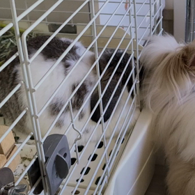 仲良し？？の画像