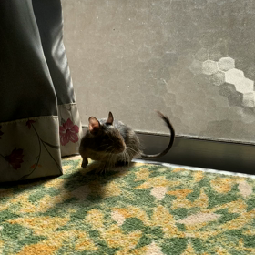 ボレーで大切なこと☆の画像