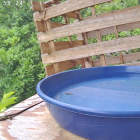 すぎぴたんの事件簿シーズン3　288話（トカゲの出勤）の画像