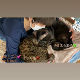 癒されてます♡ ( ๑⃙⃘ˊᵕˋ๑⃙⃘ ) ♡の画像