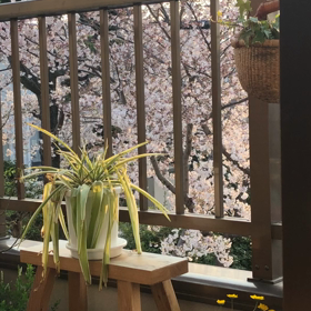 土曜の夕方の画像