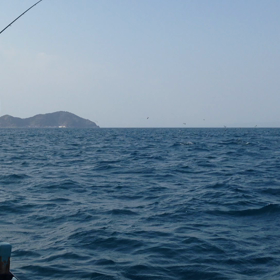 ジギング中止！の画像