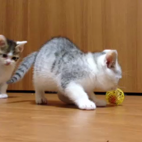 その3(しつこい)の画像