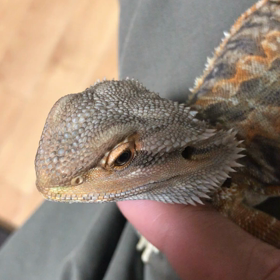 朝のスキンシップの画像