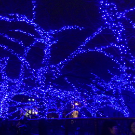 イルミネーション♪の画像