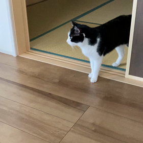 オヤツ大好きの画像