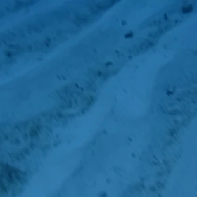 写真の整理の画像