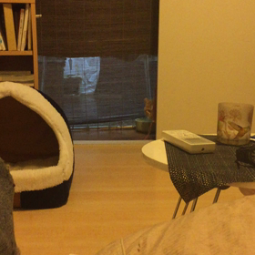 ソローリソローリの画像