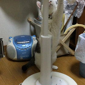 取りたい。の画像